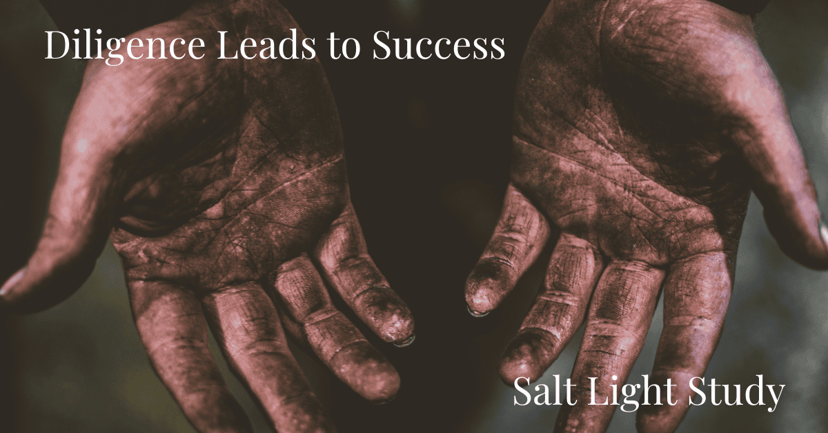 Diligence Leads to Success